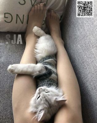免费观看中文字幕_HD高清电影在线